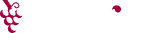logo-your-vino